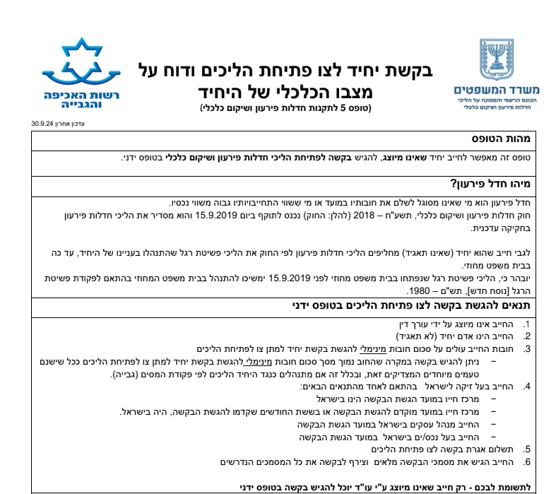 טופס בקשת יחיד לצו פתיחת הליכים ודוח על מצבו הכלכלי של היחיד (טופס 5)